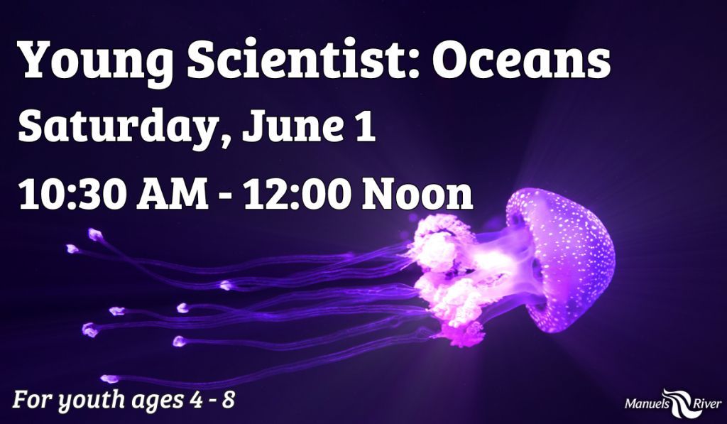Dive into this session all about oceans!
REGISTER NOW: buff.ly/3QOXBZo 

Join us at Manuels River as we explore the deep blue sea and the creatures that live there. Discover through crafts, hands-on experiments, and games!