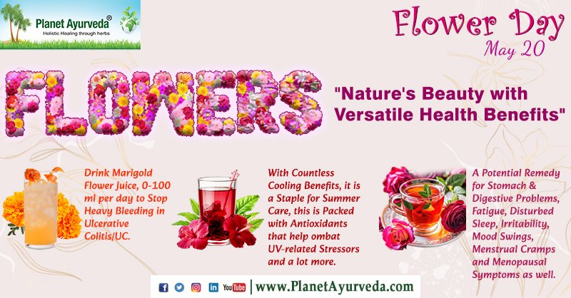 Flower Day - May 20
#FlowerDay #FlowerDay2024 #Flower #Flowers #NaturesBeauty #HealthBenefits 
#MarigoldFlowerJuice #Ulcerative #UC #HibiscusFlowerTea #CoolingBenefits #SummerCare #Antioxidants #RoseTea #DigestiveProblems #Fatigue #DisturbedSleep #Irritability #MoodSwings