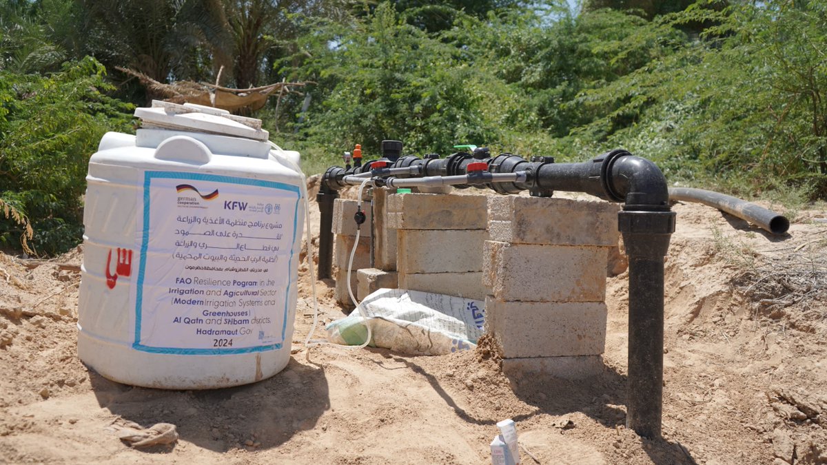 FAOR Yemen @hgadain visits Hadramout 🇾🇪where @KfW_FZ_int is working with @FAOYemen 2 rehab infrastructure for improved access to water for agric production.
They visited:
✅Drip Irrigation
✅Improved Conveyance Systems
✅Floppy Sprinkler Irrigation
✅Greenhouses