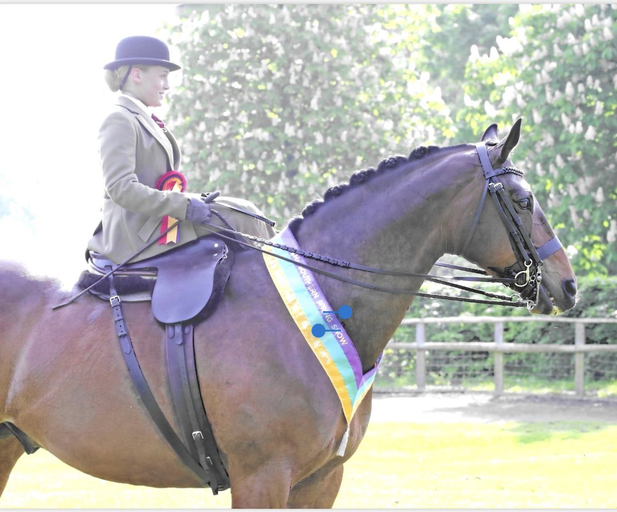 PipersSport's tweet image. Annabelle had a fantastic weekend at the London International Horse Show Qualifier for the Ladies Show Horse at the BSHA Southern Spring Show. An amazing achievement and can’t wait to hear more about her upcoming competitions. Well done! #PipersSixthForm #PipersEquestrian