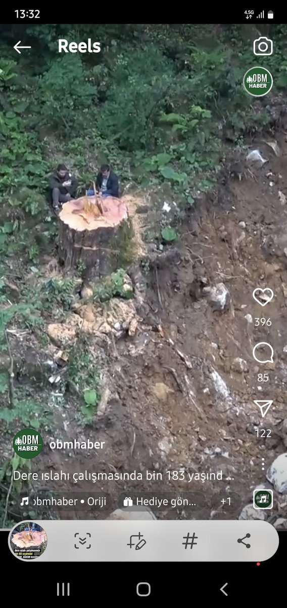 Bin yaşında ki porsuk ağacını kestiler...Zonguldak'da dünyanın en yaşlı 6 ıncı ağacı ama dünyanın en yaşlı porsuk ağacı bulunuyor . Çevresinde bin , iki bin yaşında porsuklar var... Bunun bedeli ağır olmalı... @ibrahimyumakli @TCTarim @TC_Zonguldak @ogmhabercomtr