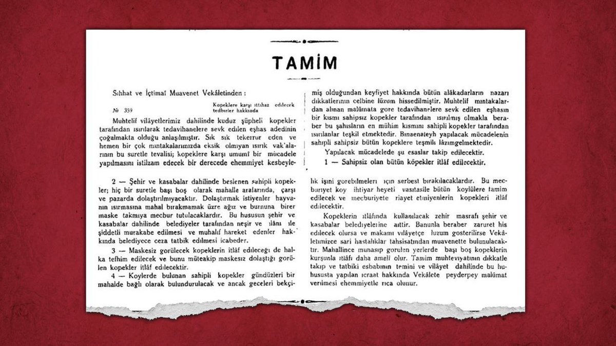 Avrupalı'dan çok avrupalı olacağız diye sokaklar köpek doldu.

Mustafa Kemal Atatürk'ün onayıyla 1932 yılında çıkartılan genelge ise "itlaf"ı emrediyor.

1- Sahipsiz olan bütün köpekler itlâf edilecektir.

2- Şehir ve kasabalar dahilinde beslenen sahipli köpekler; hiç bir suretle