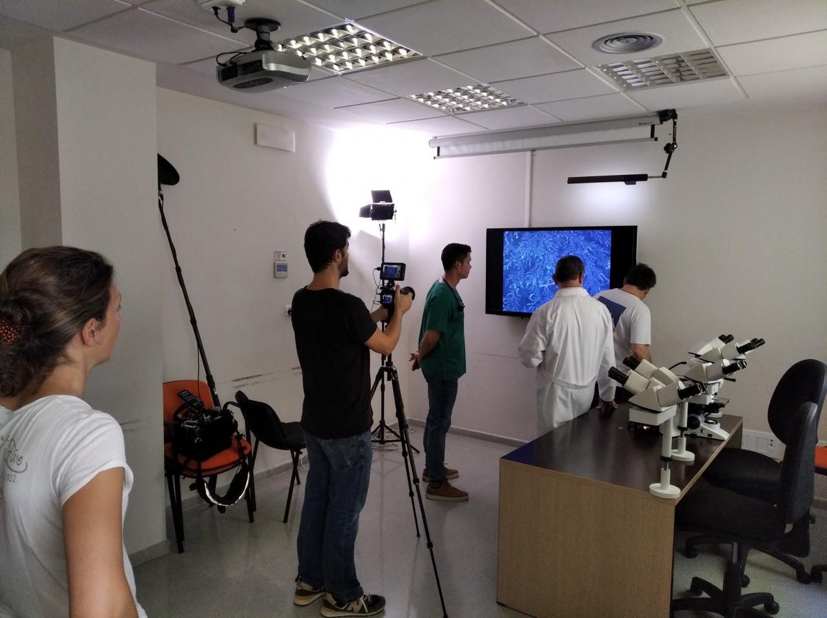 javibayobernal's tweet image. Making off del documental "Homo plasticus" para el canal franco-alemán ARTE @ARTEfr Gracias por el buen trato y profesionalidad 😃 @DecoupagesProd @FundacionSeneca @UPCToficial @caminosyminas #HGUE #Elche