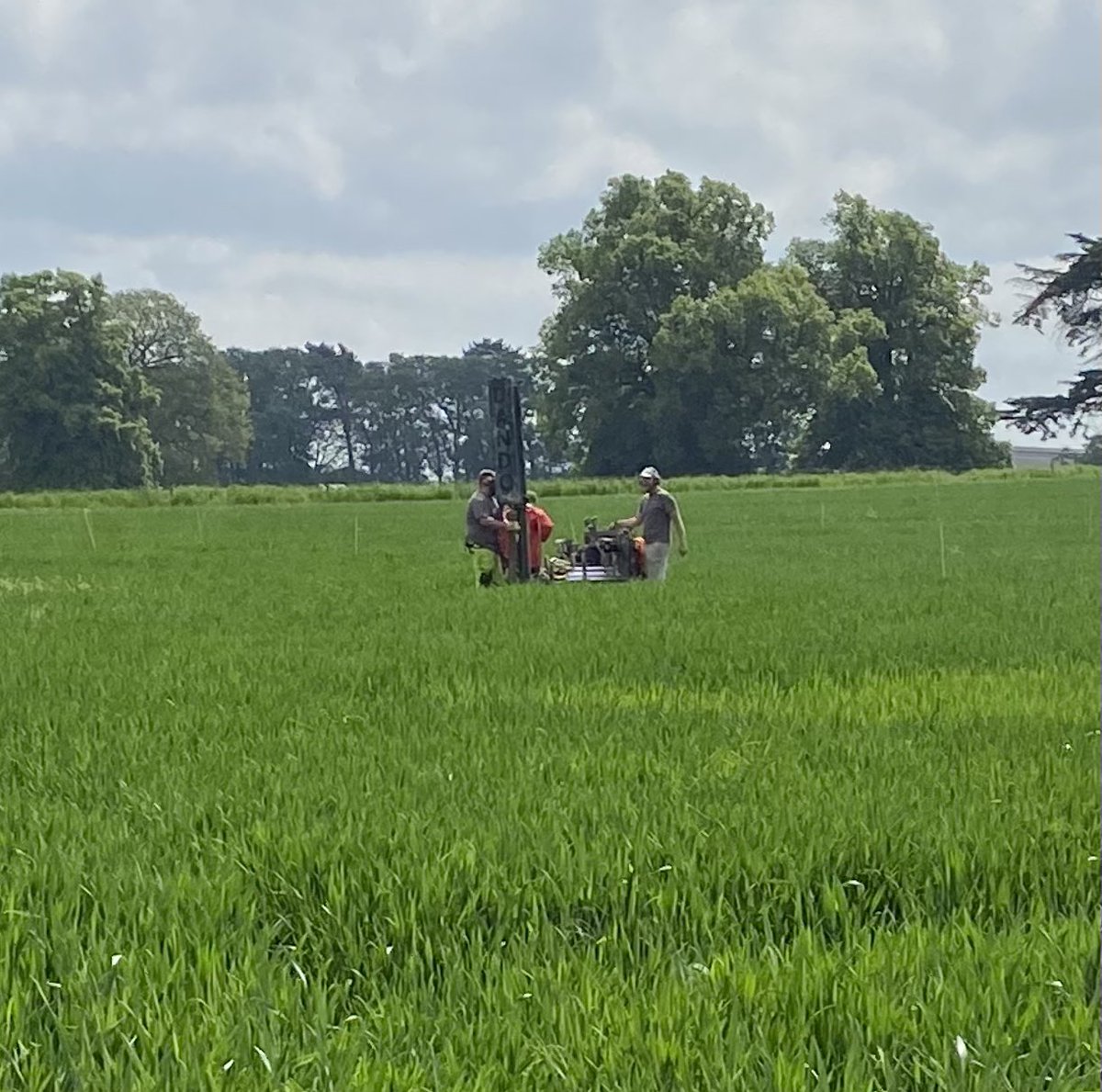 Sacha Mooney (@sachajonmooney) on Twitter photo Does zero tillage lead to deeper rooting in wheat? Deep soil coring followed by X-ray imaging to find out at <a href="/UoNBiosciences/">UoNBiosciences</a> <a href="/UoNHounsfield/">Hounsfield Facility</a> today <a href="/BBSRC/">Biotechnology and Biological Sciences Research</a> Does zero tillage lead to deeper rooting in wheat? Deep soil coring followed by X-ray imaging to find out at <a href="/UoNBiosciences/">UoNBiosciences</a> <a href="/UoNHounsfield/">Hounsfield Facility</a> today <a href="/BBSRC/">Biotechnology and Biological Sciences Research</a>