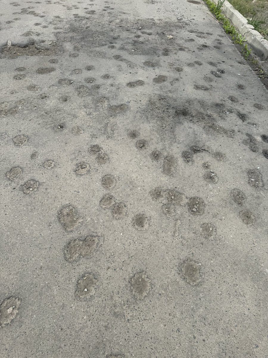 🌹яна східна tweet media