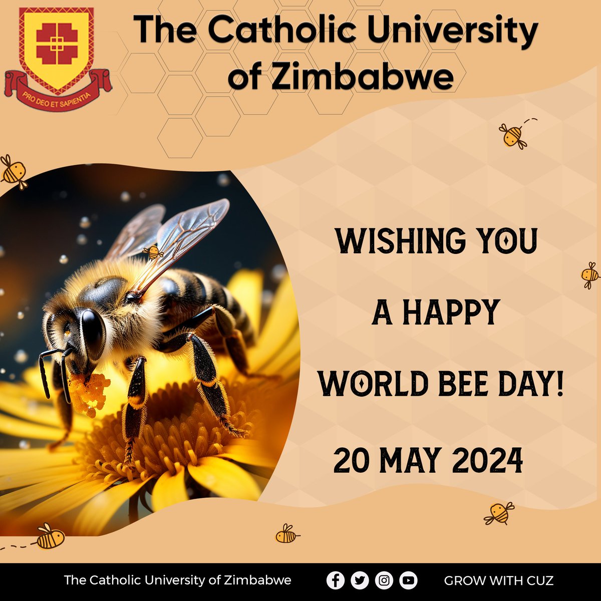 CatholicUniZW's tweet photo. Happy World Bee Day!!!! https://t.co/mGpG6Bw9gN