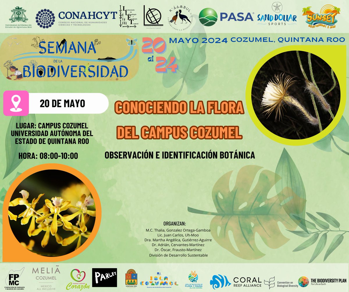 UhCarlos's tweet photo. Nos vemos en un ratito. https://t.co/kqMiXy8jQX