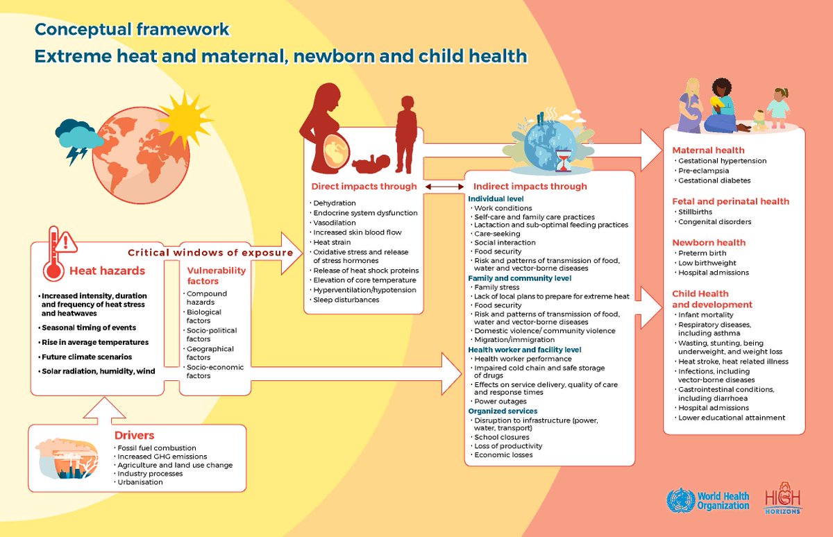 What are the impacts of #ExtremeHeat on maternal, newborn and child health (MNCH)?

The HIGH Horizons and <a href="/WHO/">World Health Organization (WHO)</a> conceptual framework details the direct and indirect pathways in which heat exposure can lead to adverse MNCH outcomes.

Find our more 👉 high-horizons.eu/news-conceptua…