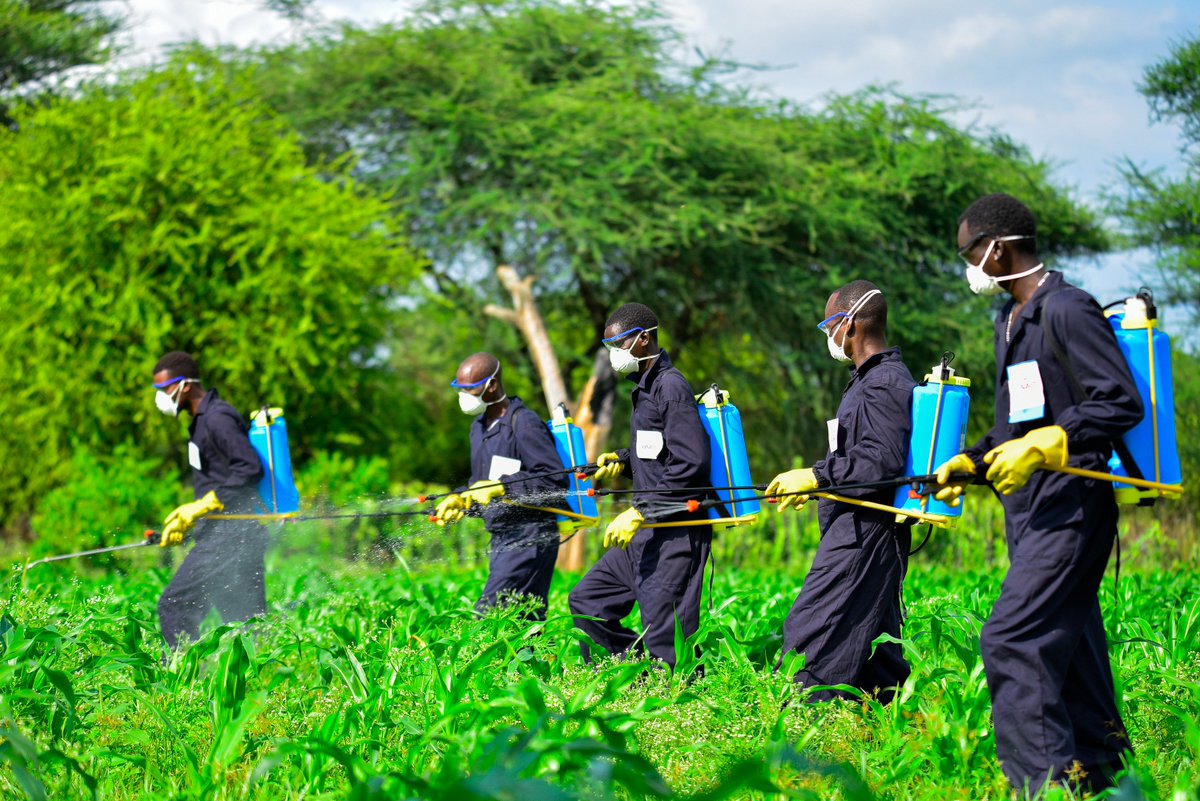🚀 Excited to share my latest article detailing how Zambia and Zimbabwe are working together to strengthen regulations against highly hazardous pesticides. 👉bit.ly/4boE3mR #PlantHealth