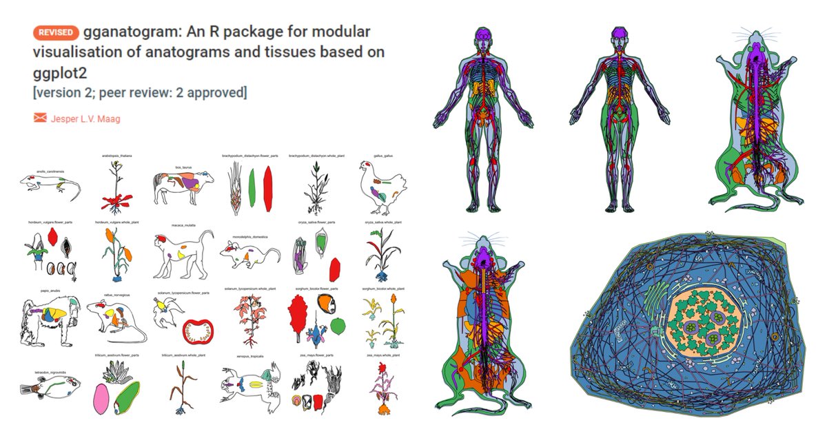 Hao Yin (@haoyin20) on Twitter photo gganatogram: An R package for modular visualisation of anatograms and tissues based on ggplot2
Draw Animal/Plant organs or some cell organelles in R
github.com/jespermaag/ggaโฆ
<a href="/JesperMaag/">Jesper Maag</a> <a href="/F1000Research/">F1000Research</a> 2018
f1000research.com/articles/7-157โฆ gganatogram: An R package for modular visualisation of anatograms and tissues based on ggplot2
Draw Animal/Plant organs or some cell organelles in R
github.com/jespermaag/ggaโฆ
<a href="/JesperMaag/">Jesper Maag</a> <a href="/F1000Research/">F1000Research</a> 2018
f1000research.com/articles/7-157โฆ