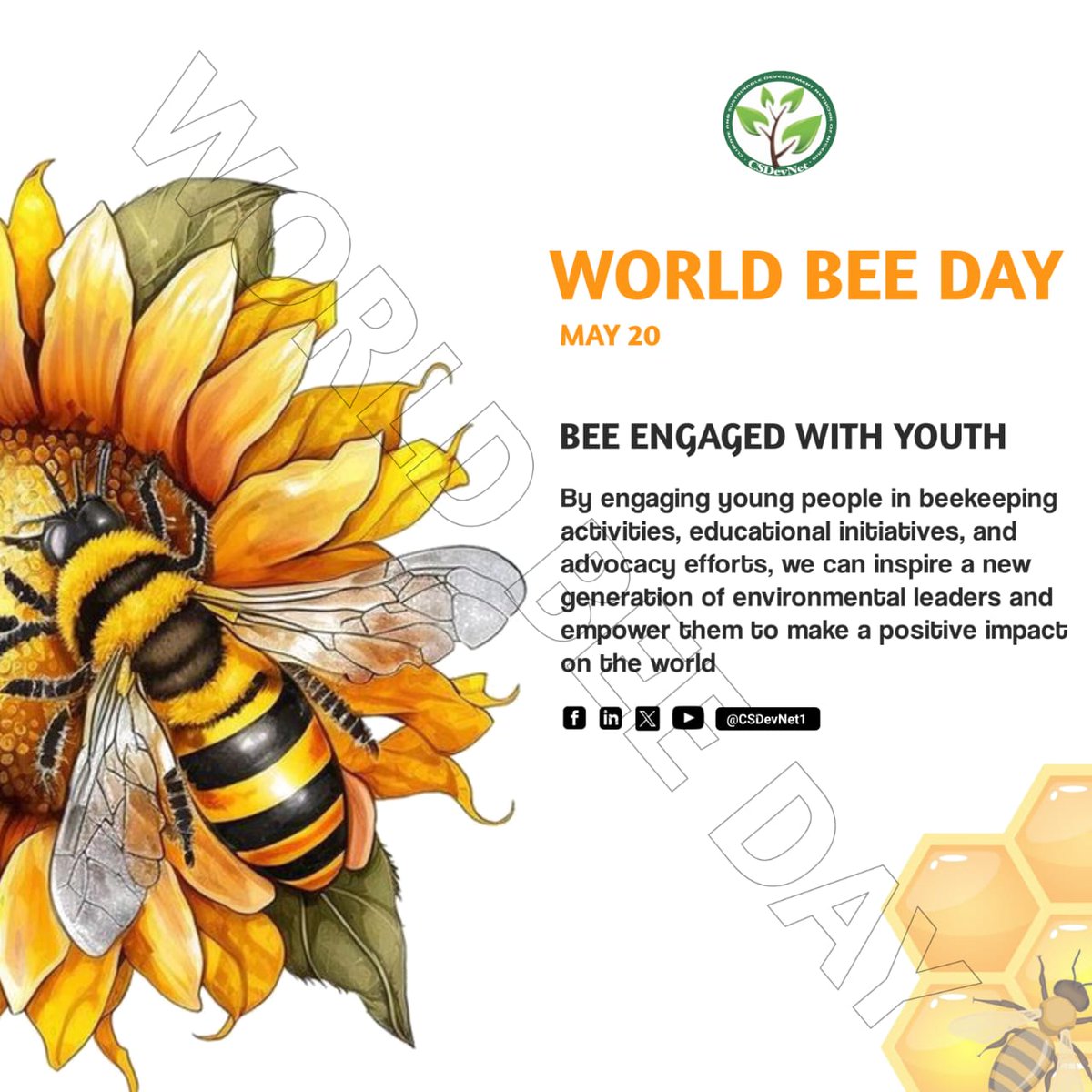It is #WorldBeeDay! 🌻🌺🏵 🐝🐝🐝 🐝 🐝 🍯 This year's theme 'Bee engaged with Youth' highlights the importance of involving young people in beekeeping & pollinator conservation efforts, recognising them as future stewards of our environment. #WhatHasChanged? #Act4Nature