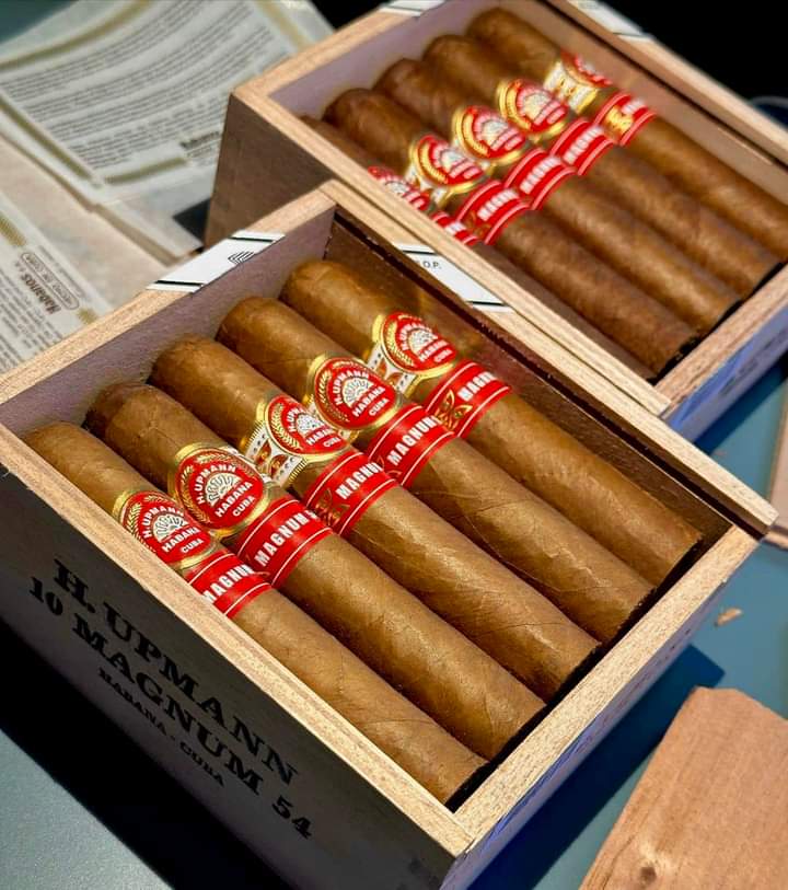 ⚜️H.Upmann Magnum 54⚜️