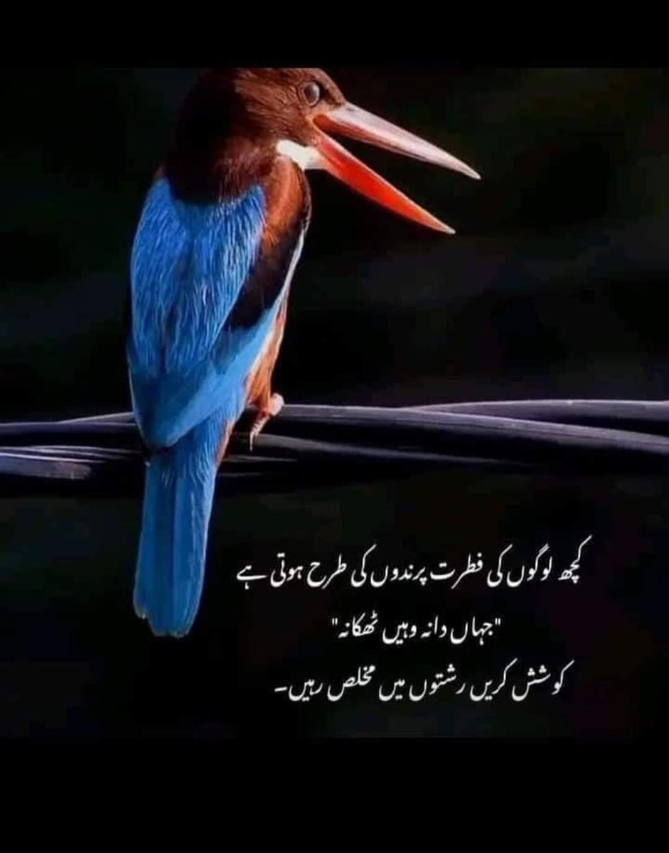 Good afternoon ♤♡◇●