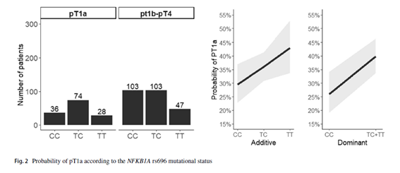 🦋Germline polymorphisms of the NOD2 pathway may predict the effectiveness of radioiodine in differentiated thyroid cancer treatment 👉Papel de NOD2 en la inmunidad innata y la respuesta al estrés, y su impacto potencial en la eficacia de RAI link.springer.com/article/10.100… @SeenTiro