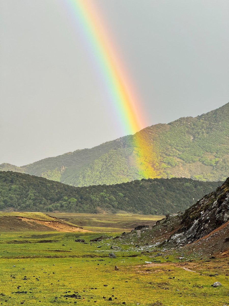 Trader米哥 🚀 tweet media