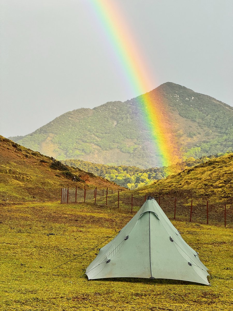 Trader米哥 🚀 tweet media