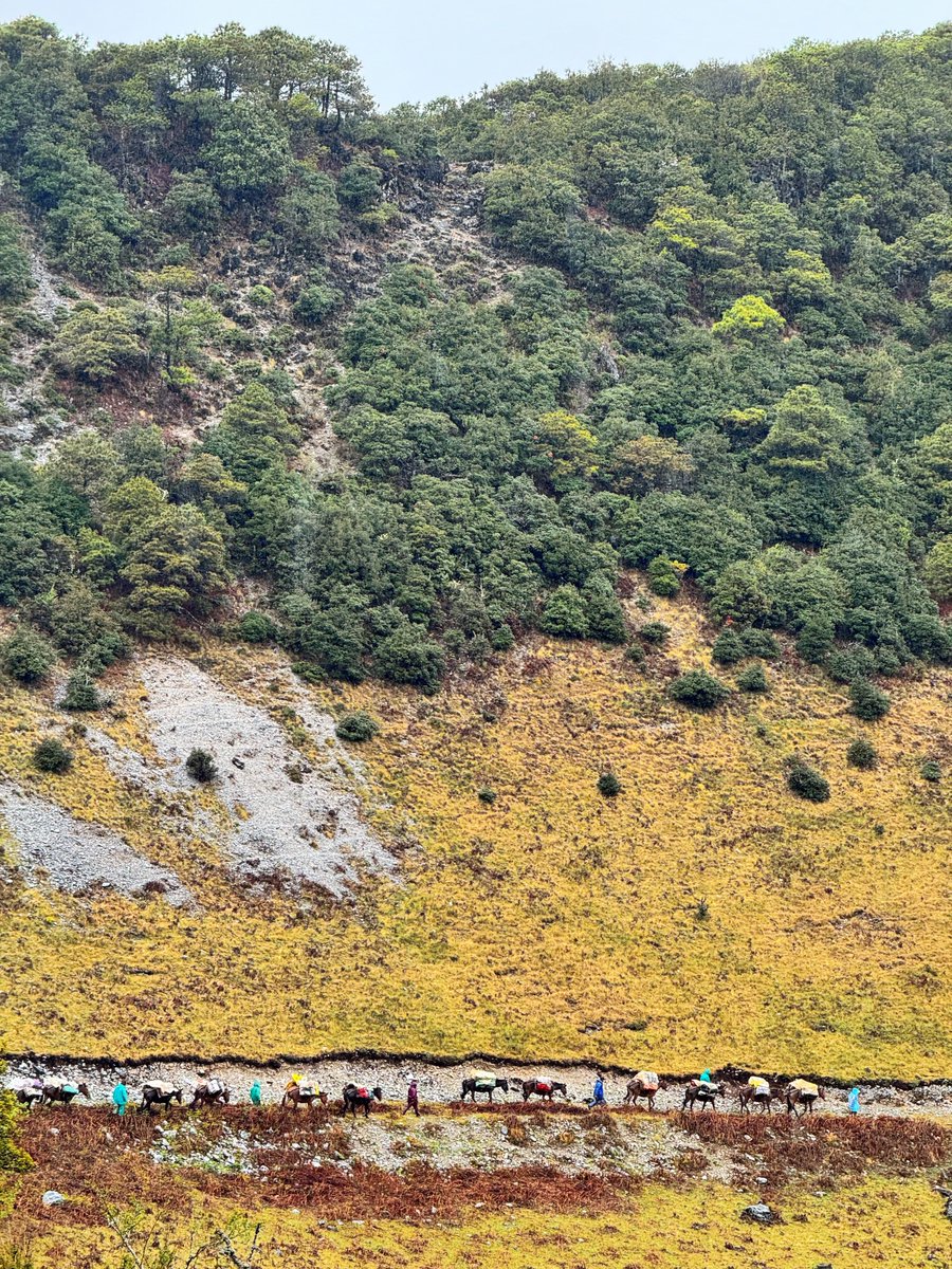 Trader米哥 🚀 tweet media