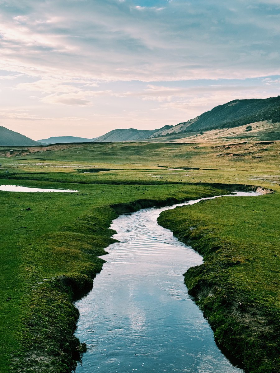 Trader米哥 🚀 tweet media