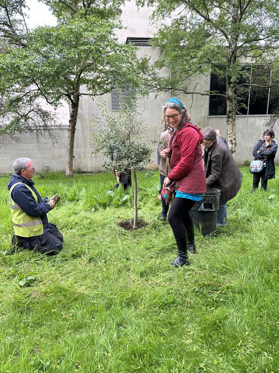 A fantastic start to the #RILASpring24 Conference with the planting of a ‘tree of peace’ 🤍 @alison_phipps led this beautiful walk this morning on the @UofGlasgow campus