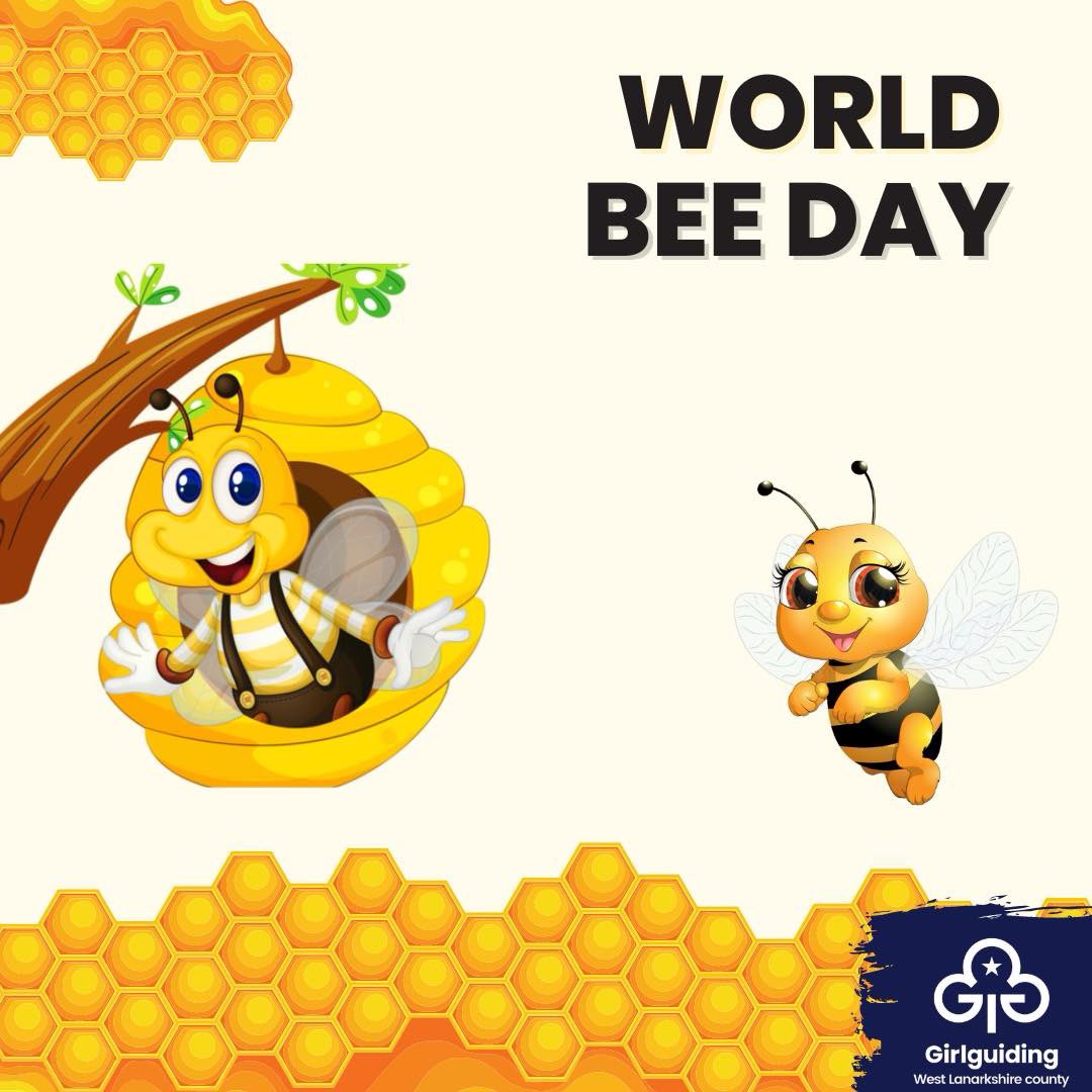 🐝 𝗪𝗼𝗿𝗹𝗱 𝗕𝗲𝗲 𝗗𝗮𝘆 🐝 

Did you know Britain has around 200 species of solitary bees; these differ from bumblebees in that they build single nest cells for their larvae. Some species nest in tunnels in sandy banks or old bricks; others use hollow stems of dead plants or