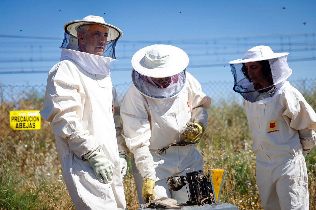 CarlosNovilloPi's tweet photo. 🐝 Hoy en el parque de bomberos de Coslada comprobamos el enorme de trabajo de #BomberosCM en la protección de una especie esencial para la vida.

#ProtegeAlasAbejas es un trabajo conjunto de @112cmadrid y @medioambientecm para cuidar de la biodiversidad. https://t.co/rlKGZY1SNP