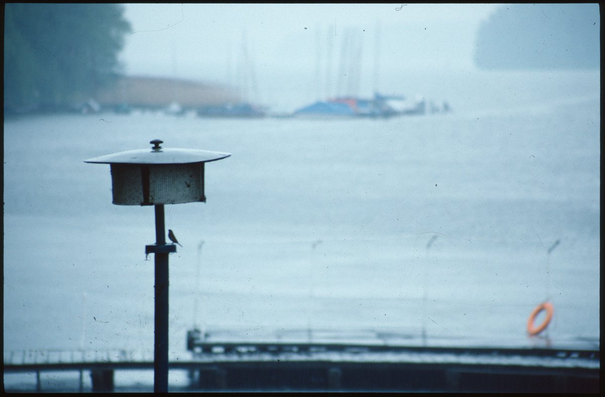 Bad Saarow: View from the Theater am See to the Scharmützelsee in the mid-90s.

~1996
Camera: Canon EOS 5
Slide film

#badsaarow #timetravel #90s #slidefilm #canoneos5 #brandenburg #germany