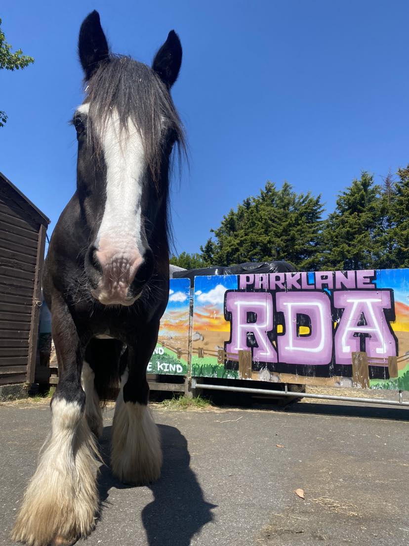 Delighted to announce our amazing @RDAnational      carriage horse Sam has been shortlisted for a make a difference award by @BBCRadioLondon Sam is absolute hero & a legend, we are all rooting for him #bbcmakeadifference