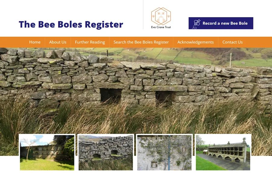 This #WorldBeeDay, read all about Bee Boles. 🐝 Learn about these structures and how people in the past interacted with these important pollinators and producers. howtohistory.substack.com/p/bee-boles