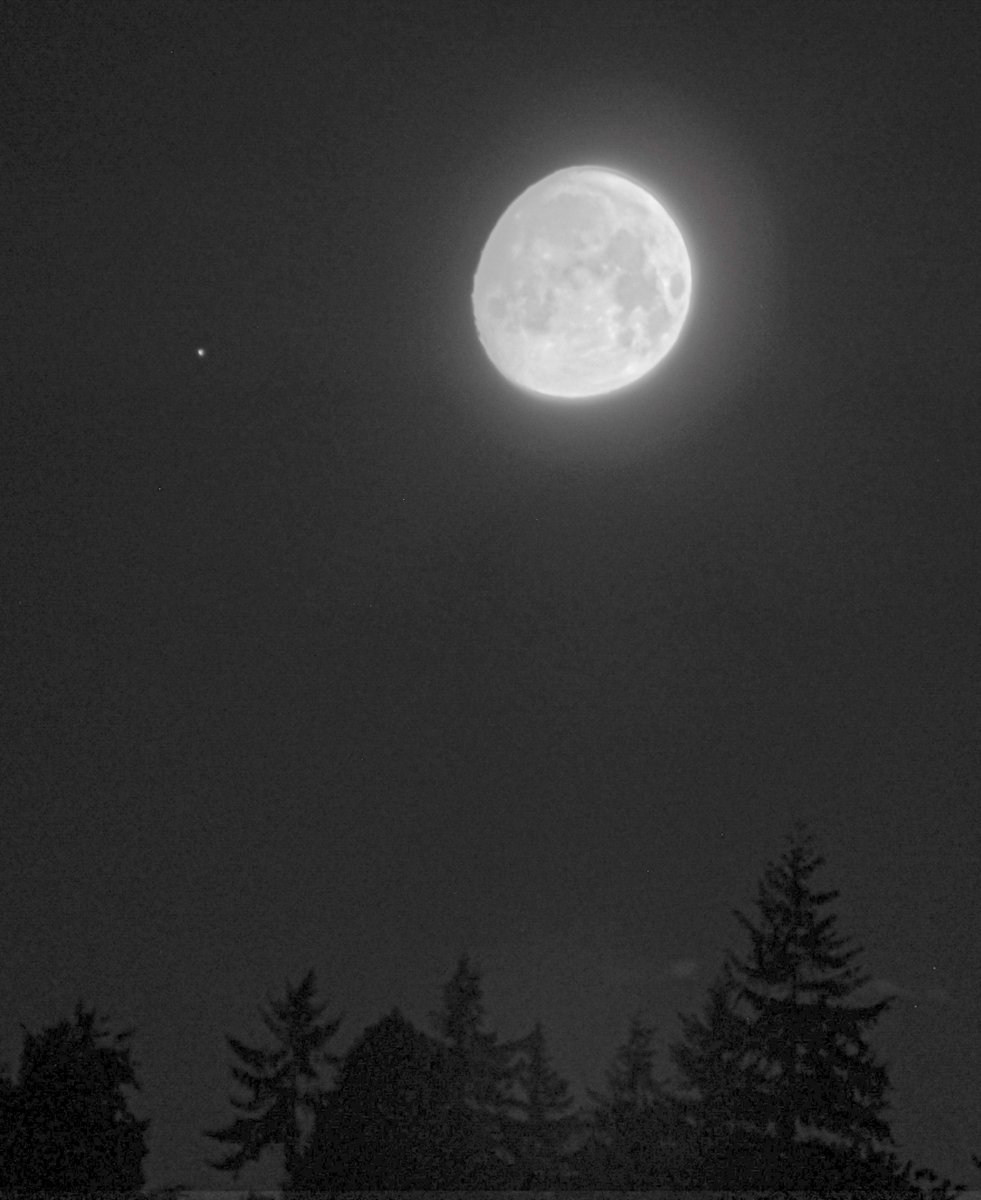The waxing gibbous Moon near the star Spica in Virgo earlier this morning. #wawx