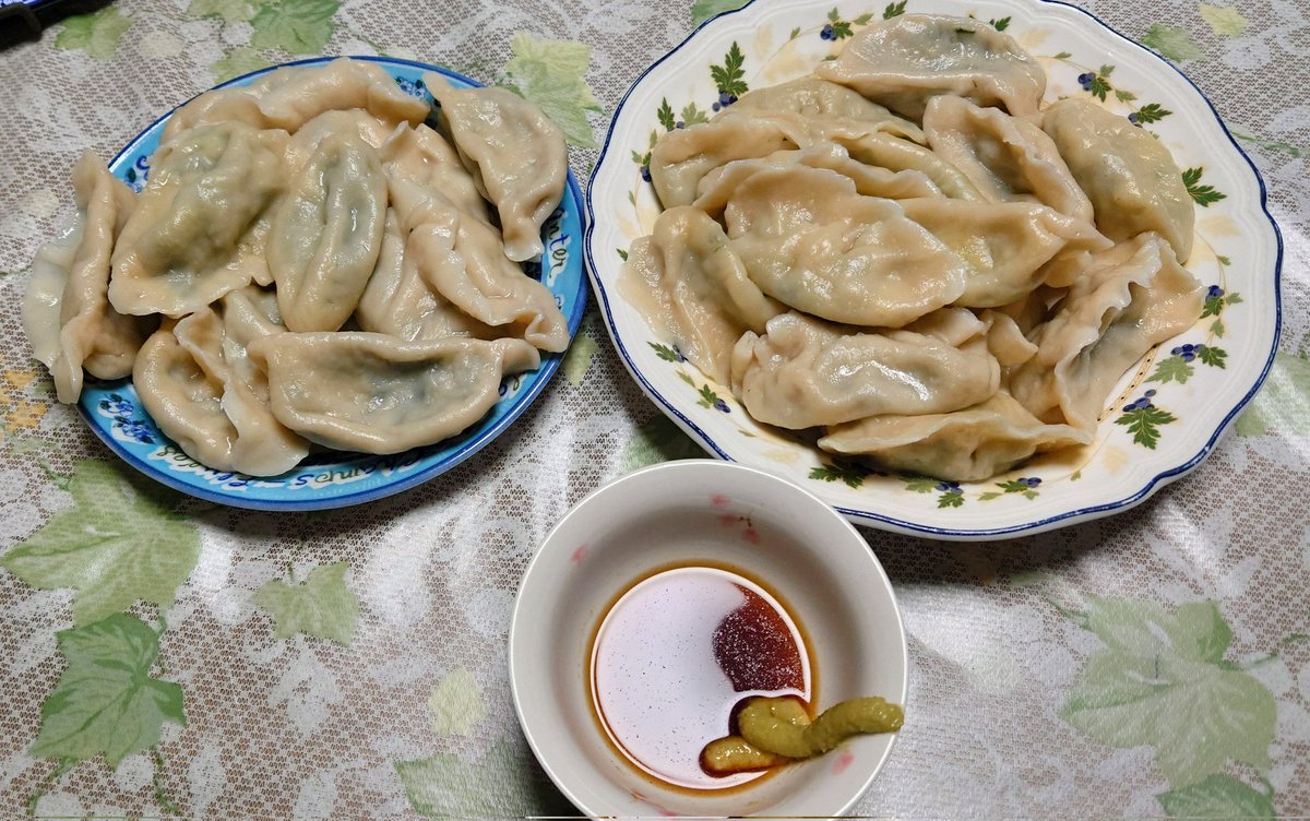 水餃子うまい😋