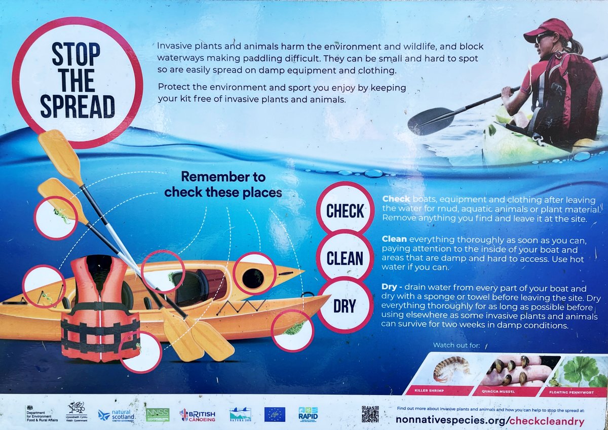 freshwaterbio's tweet image. 📢It's #INNS week! 🌻🐠 Invasive non-native plants and animals can be small and hard to spot, so are easily transferred from one to place to another on all manner of things from shoes to canoes, and even your dog! 🐶🥾🛶Help #StopTheSpread and always remember to #CheckCleanDry