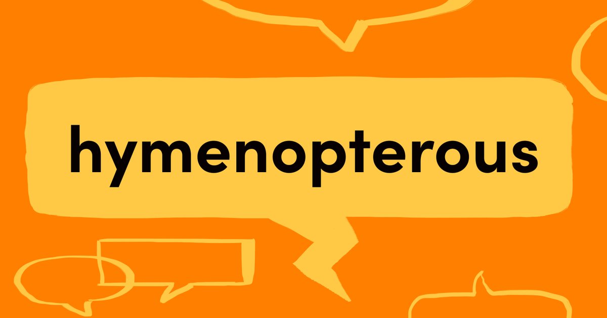 #wordoftheday HYMENOPTEROUS – ADJ. Of, relating to, or belonging to the Hymenoptera, an order of insects, including bees, wasps, ants, and sawflies, having two pairs of membranous wings and an ovipositor specialized for stinging, sawing, or piercing. ow.ly/NFaf50RFXfR