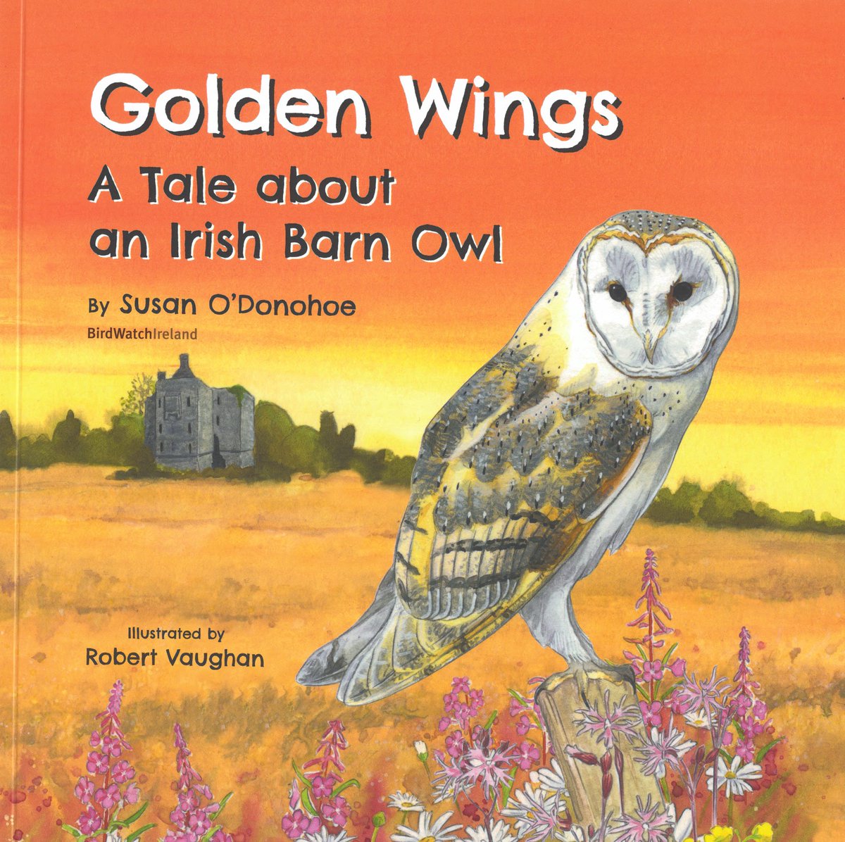 Golden Wings – a Tale about an Irish Barn Owl & Puffin Rock Wildlife Activity Book: LIMITED copies available from library branches or by post. Ring 090 6637136 or email heritage@roscommoncoco.ie to request copies. #BiodiversityWeek2024, #LBAF #roscommonheritage #loveyourheritage