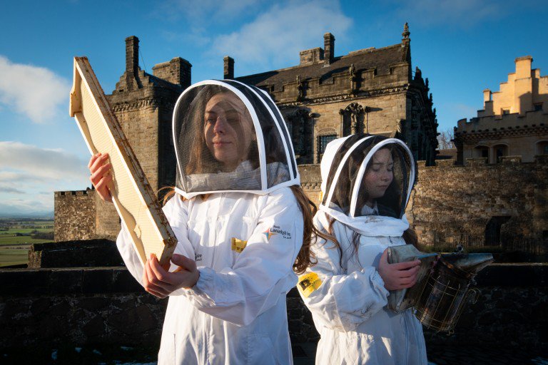 Celebrating #WorldBeeDay! 🐝 Our two castle hives, each with around 60,000 bees, are buzzing with pollinating power. Managed by Good Bee Projects Ltd and Stirling High School pupils, they're making a sweet impact. 💛 Check out our local honeys on Stòr: stor.scot/collections/wo…