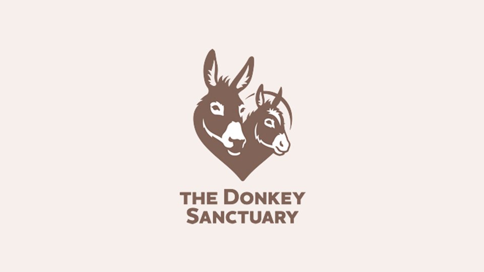 Retail Assistant (Full Time - FTC) @DonkeySanctuary #Sidmouth. Info/apply: ow.ly/F0x950RJvui #DevonJobs #RetailJobs #CharityJobs