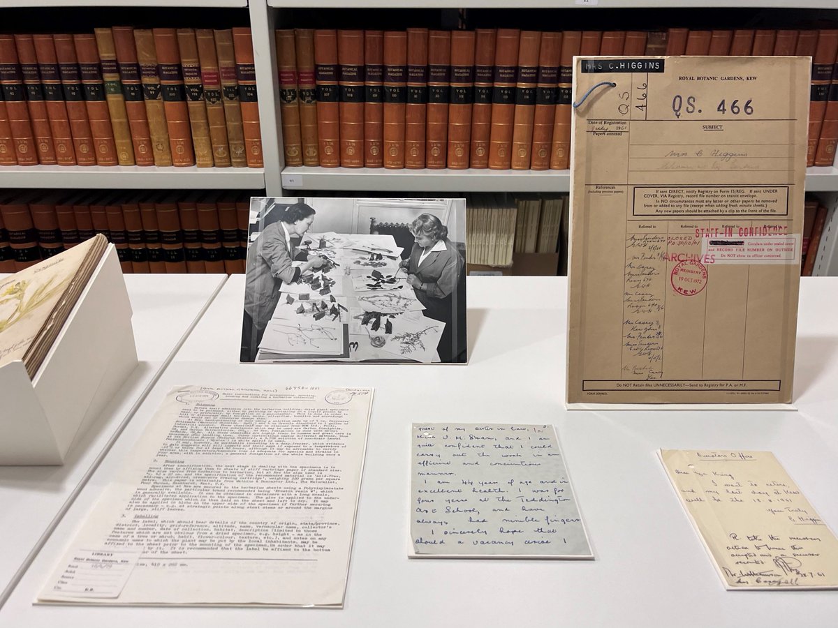 Our current Reading Room display 'Leafy Legacies' offers an insight into how varied staff history at RBG Kew is and how many records we hold about it. Read more about it by clicking the link below and keep an eye out for highlights from the exhibition. kew.org/kew-gardens/wh…