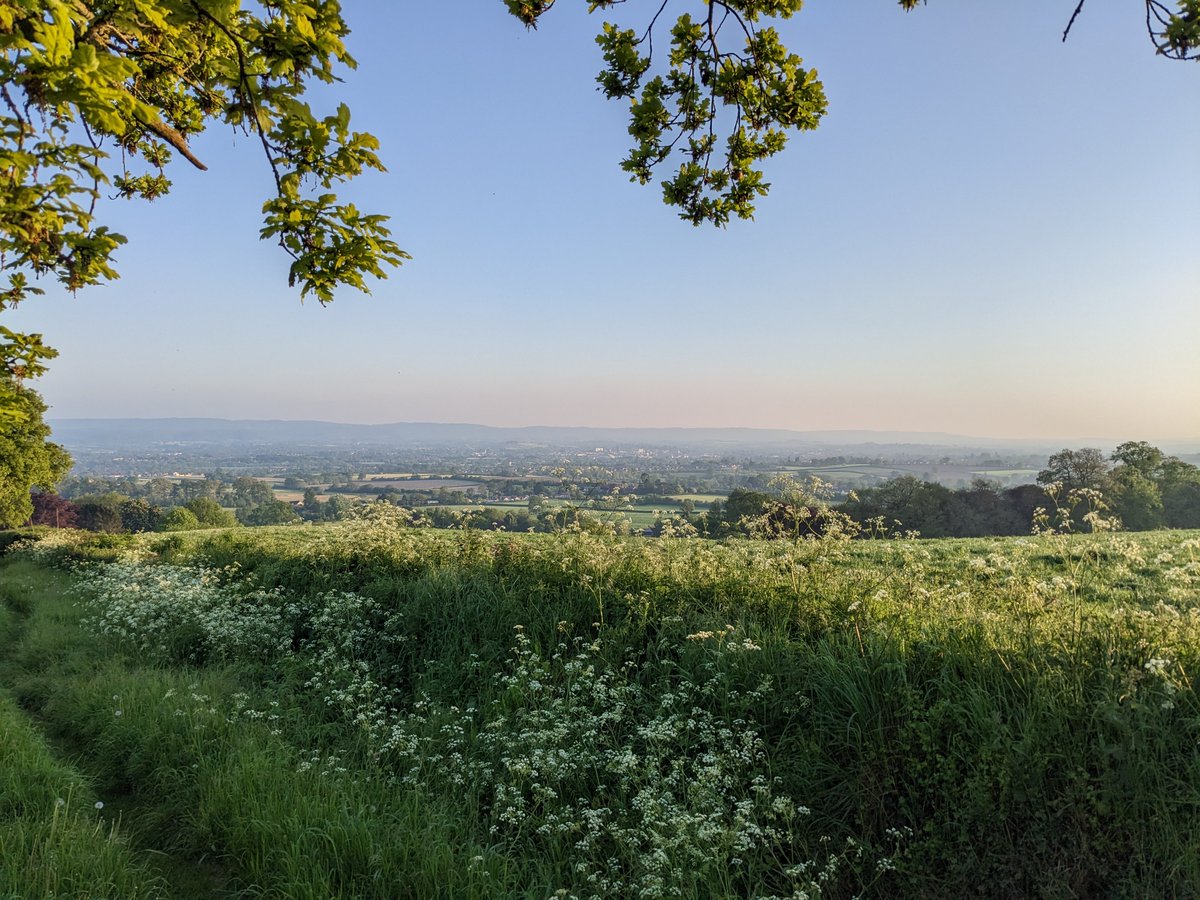 We’re seeking submissions of land for potential phosphate mitigation schemes and Biodiversity Net Gain to support the delivery of new development in Somerset. Find out more here orlo.uk/VRuR3