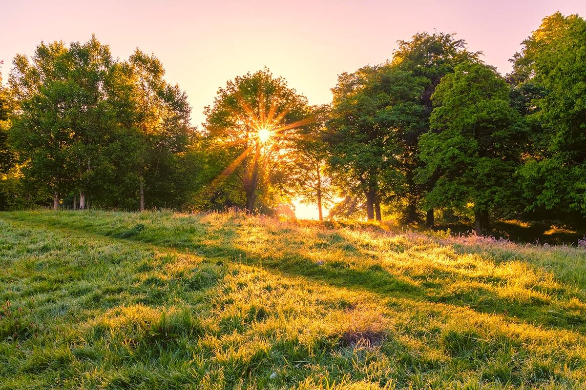 Four images from a sunny #seftonpark early yesterday morning.