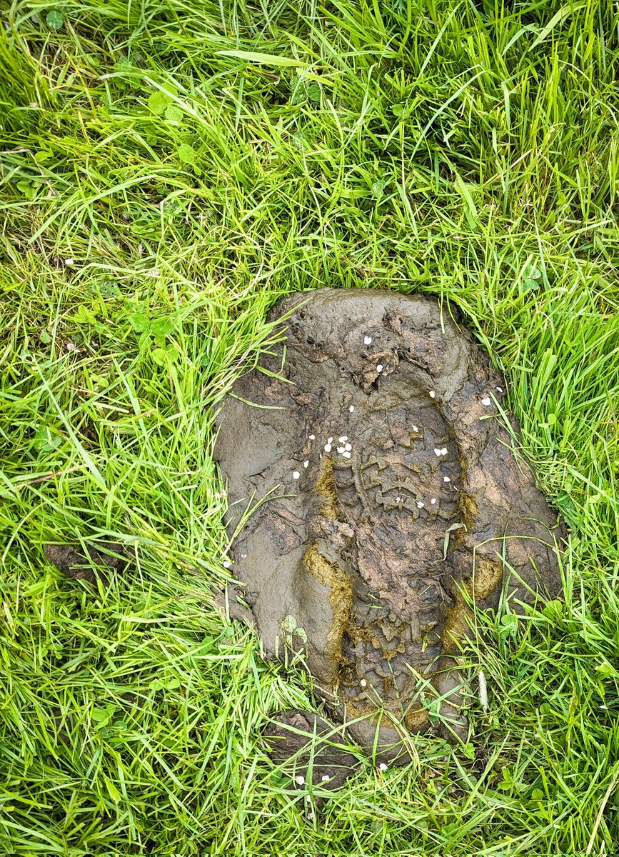 carl_thompson70's tweet image. Pat
Oh Pat
Why did you do this to me, Pat? 😭
#MikeReid #FrankButcher 

#CoastToCoast