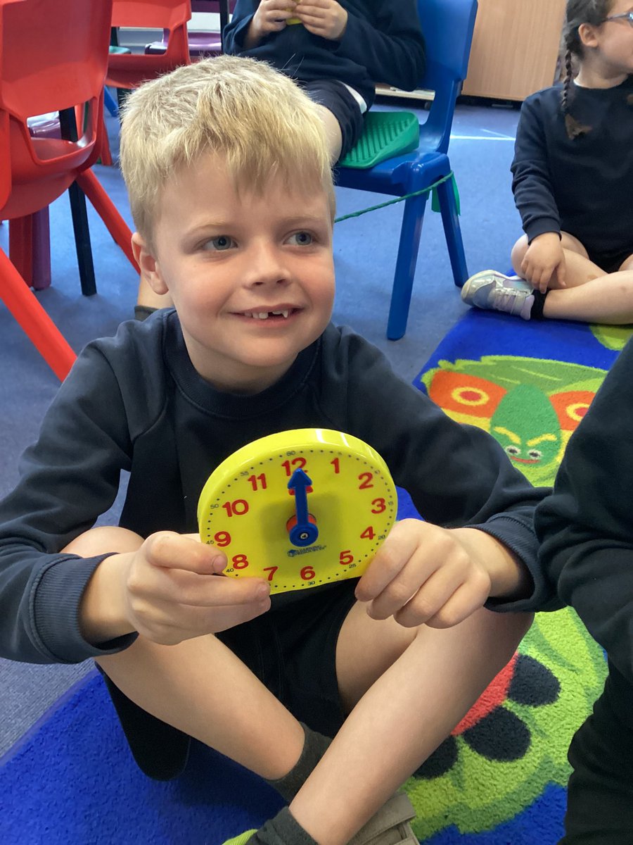 OWPSturtles tweet media