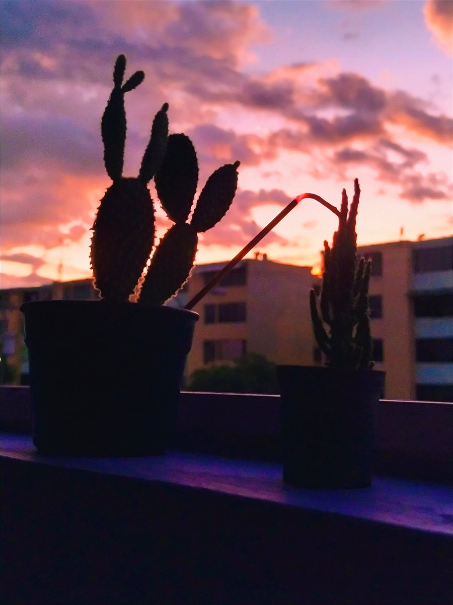 Feliz inicio de semana 😊