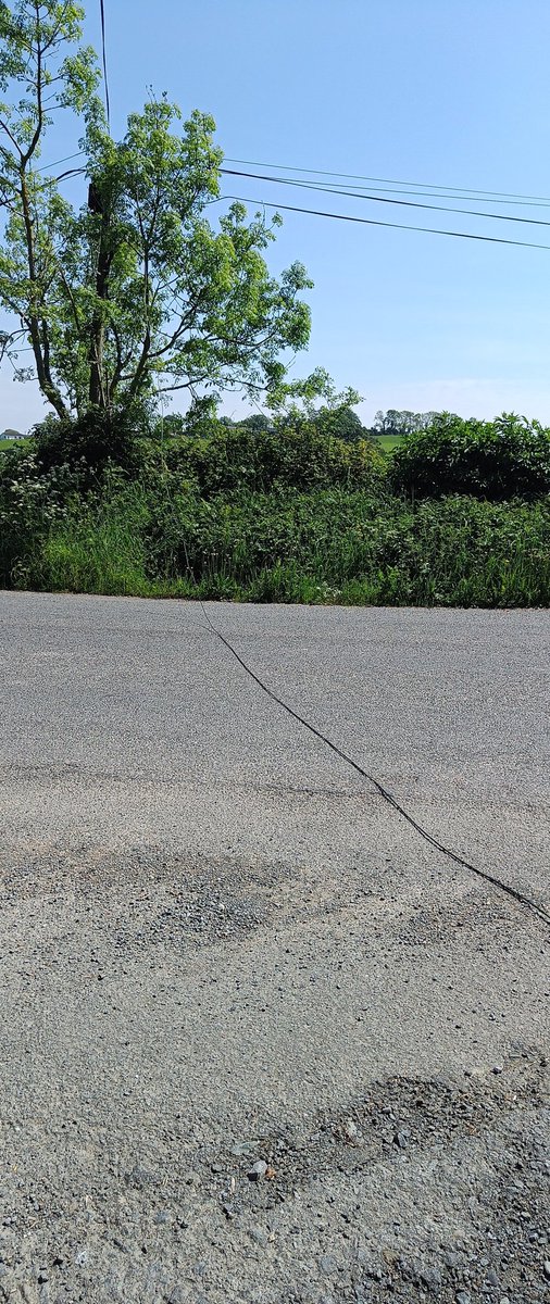 knightsaround's tweet photo. @eir There is a fibre optic line down in my area ad it is running across the road going to cause an issue of someone hooks into it ? https://t.co/shha8wPZsZ