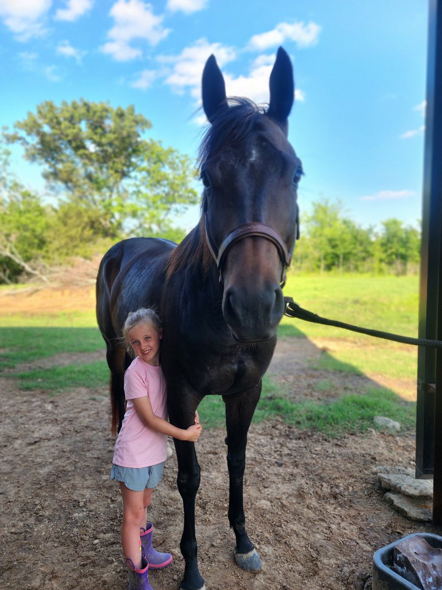 Our new gentle giant. Thankful for the opportunity to have a world class horse sitting in our barn. Excited to see what the future holds for these two girls! #gianthorses #lukeinlikeadoll #quarterhorses