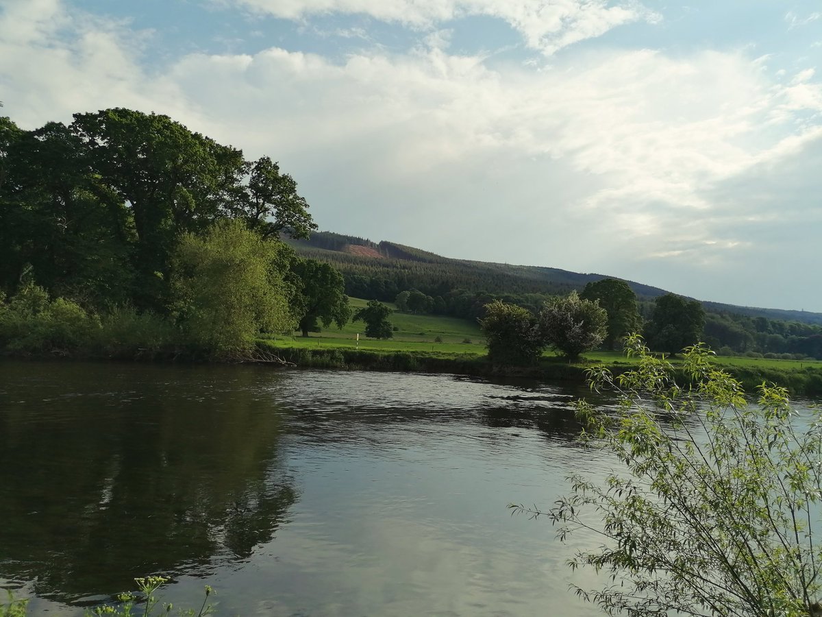 Kilsheelan yesterday 💙 (between thunder showers) 😅. #Kilsheelan #tipperary #riversuir #river #blueway #walking #nature #family