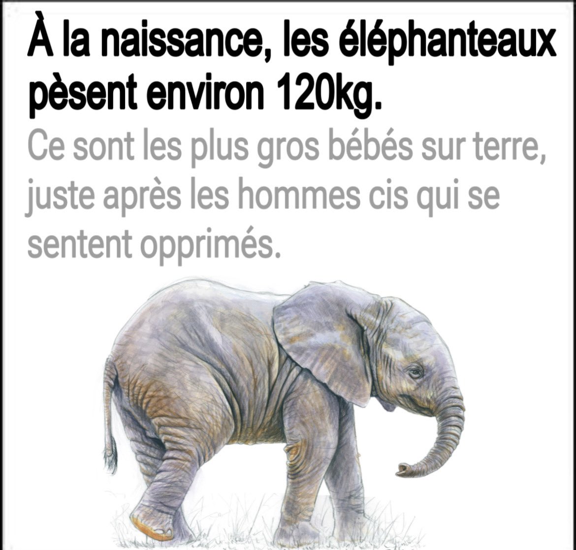 alorslazo's tweet photo. c’est une dinguerie d’être des chialeuses comme ça https://t.co/A9LapuNQww