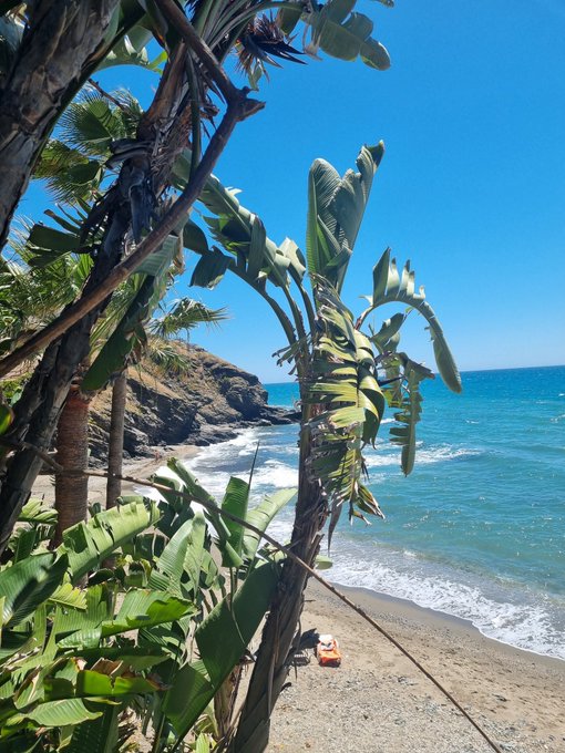 Time for a cocktail 🍸 https://t.co/nddXahBoB6<a href="/tag/tattoo"class="tags"><span>#tattoo</span></a><a href="/tag/artist"class="tags"><span>#artist</span></a>