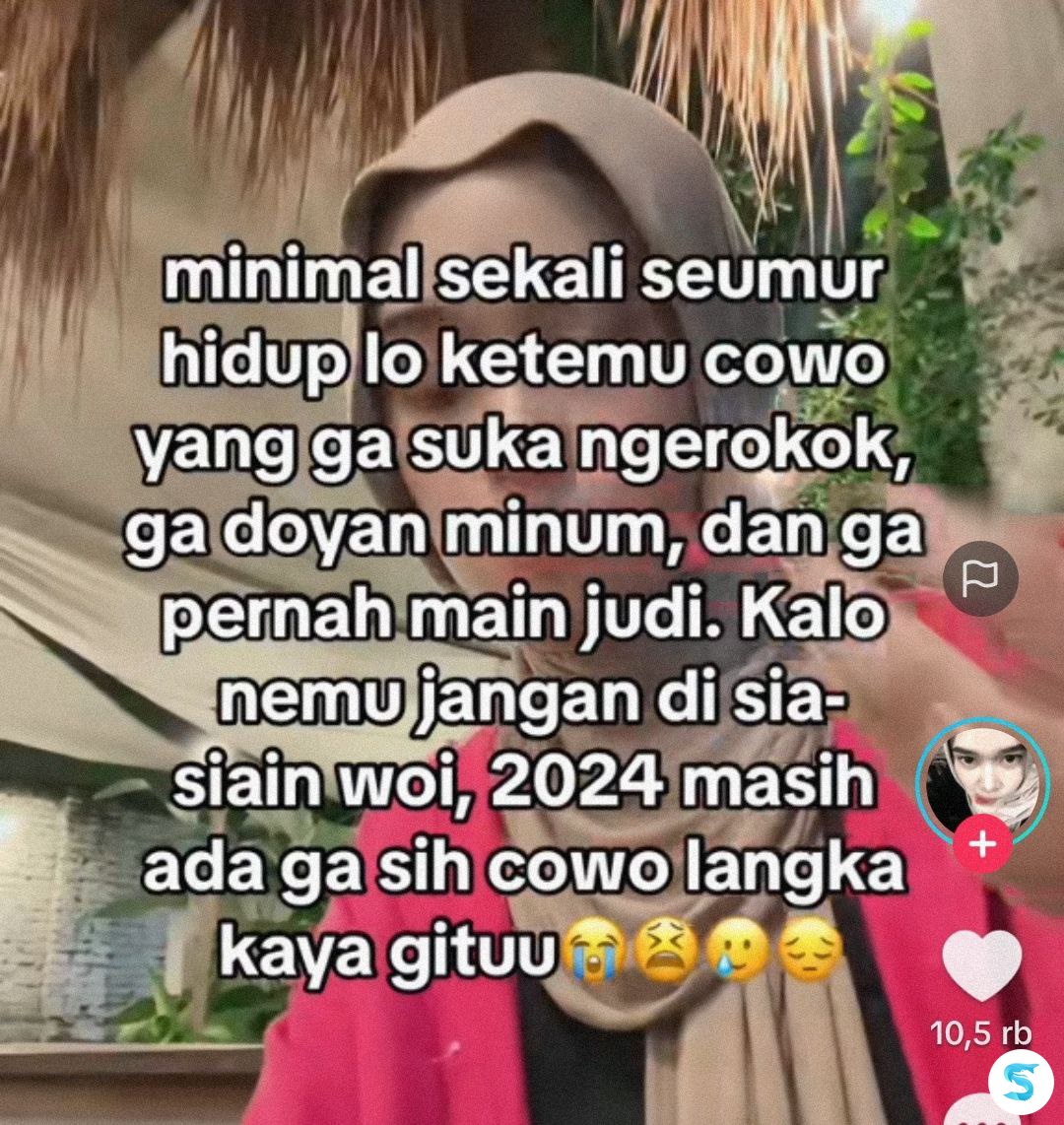 🦈 SUROBOYOFESS 🐊 tweet media