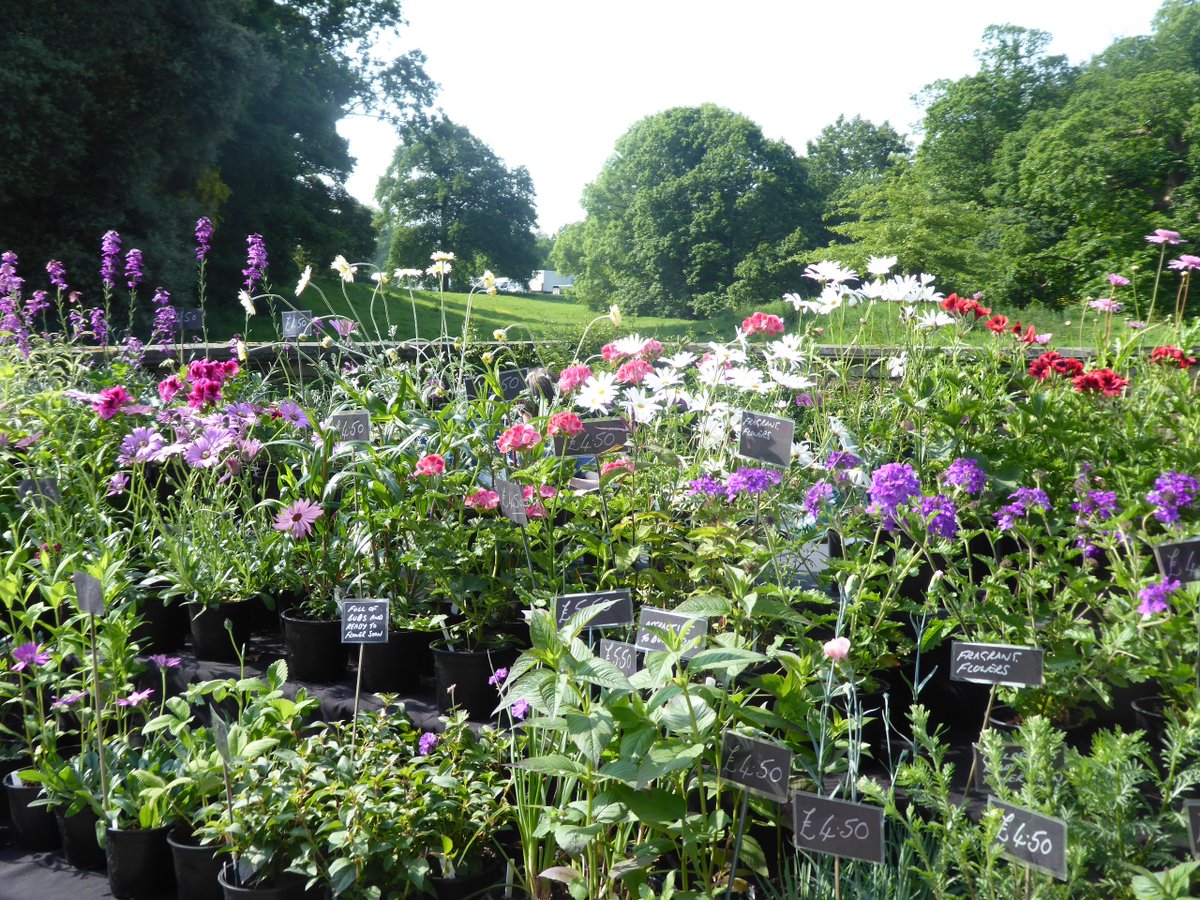 Looking forward to our #plantfair  Mon 27 May 11-4pm run by <a href="/flowerpowerfair/">Flower Power Fairs</a> Great opportunity to buy unusual British plants and meet the growers.  Discounted entry includes admission to gardens.  Courtyard kitchen open &amp; dogs welcome. #onincongleton