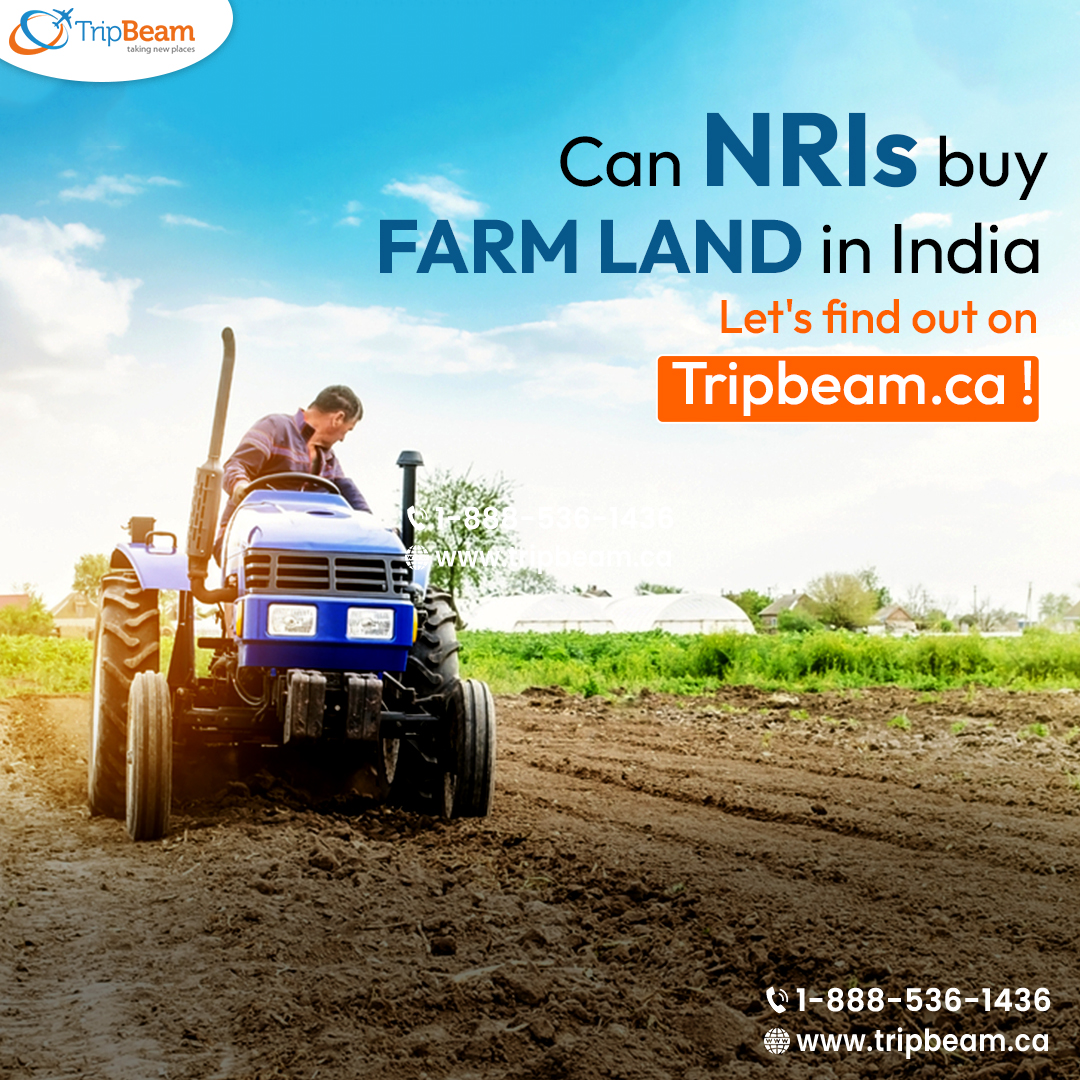 Can NRIs buy farmland in India? Find out on Tripbeam.ca! 🌾✨

#nris #farmland #tripbeamcanada #indiaproperty #nriinvestments #realestate #propertyinindia #nriinfo #exploreindia #investmenttips #travelwithtripbeam #usatoindia #nriupdates