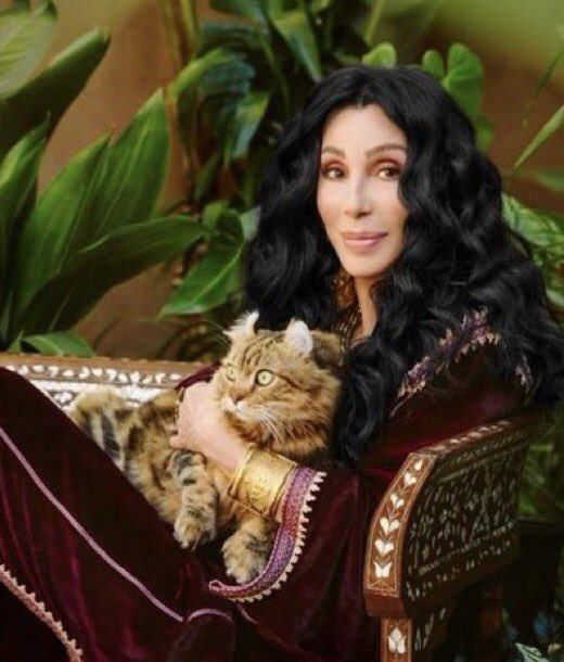 Happy 78th birthday to Cher, who happens to love Maine Coon cats.
